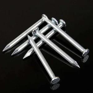 Carton Galvanized Common Nails