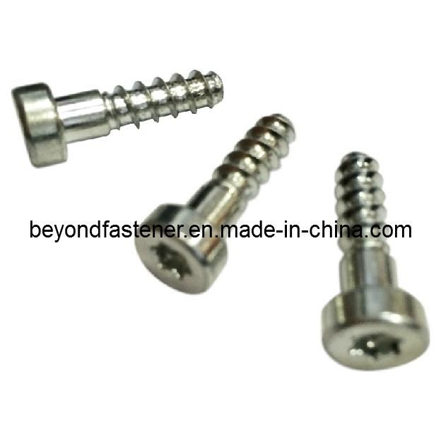 Terminal Cover Screw Supplier