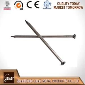 Common Wire Iron Nails Factory