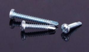 Pan Phillips Stainless Steel Pan Phillip Screw (DIN7504-N)