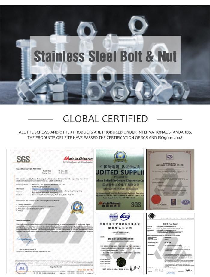 Stainless Steel Self Tapping Screws Building Fasteners