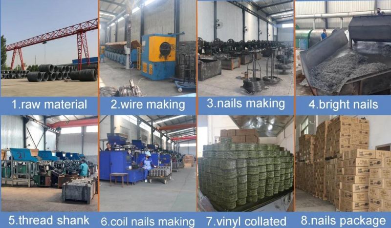 Made in China Factory Carbon Steel Screw Shank Coil Nails for Pallets Price
