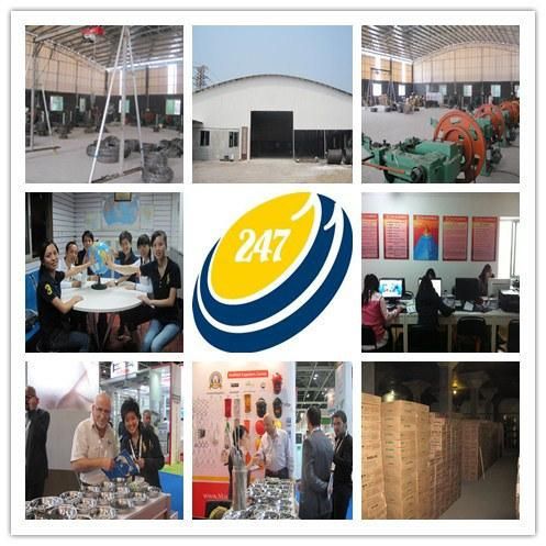 High Quality Gi Clout Nail Roofing Nail of Guangzhou Supplier