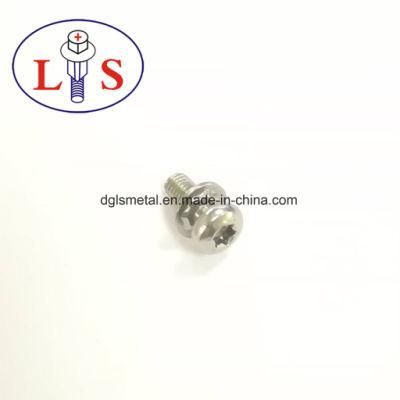 Ss 304 Torx Recess Pan Head Machine Screw