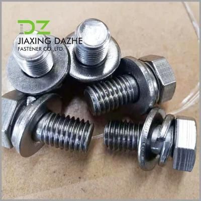 Stainless Steel Bolt with Spring Washer and Flat Washer