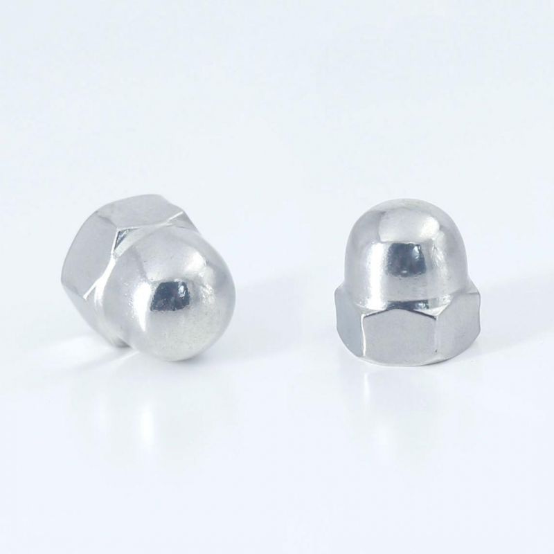 Stainless Steel Hex Cap Nut Dome Cap Nut 2PCS Welding Cap Nut