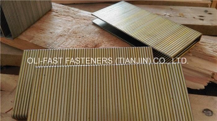 1/2" Crown 16 Gauge Staples Stainless Steel for Paslode GS16 Staples Chisel Point