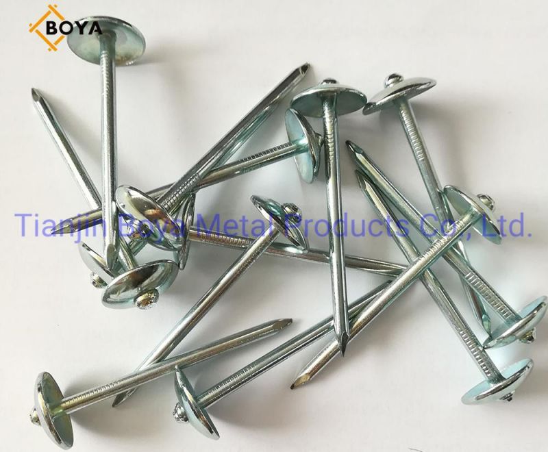 Prego Clavos / Galvanized Roofing Nails Plain and Twisted Shank