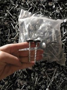 Roofing Nail with Rubber Washer