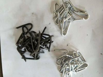 Many Kinds of Sureface U Staple/Fence Staple/U Nails