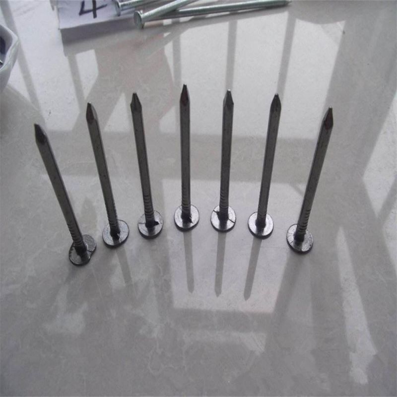 Customizable Polished Linoleum Nail with Large Cap Nails