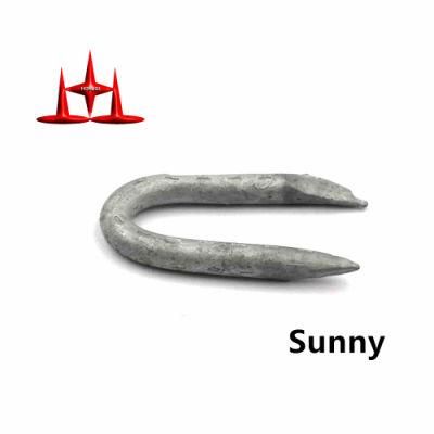 30mm Fence Staple Nail/U Shape Nail/U Nail/SOD Staple/Poultry Staple/Nail/U Type Nail