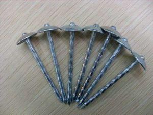 Umbrella Head Twisted Shank Roofing Nails