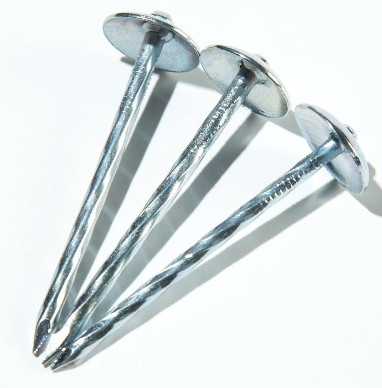Roofing Nail/Umbrella Nail/Umbrella Head Nail/Clout Nail/Galvanized Roofing Nail