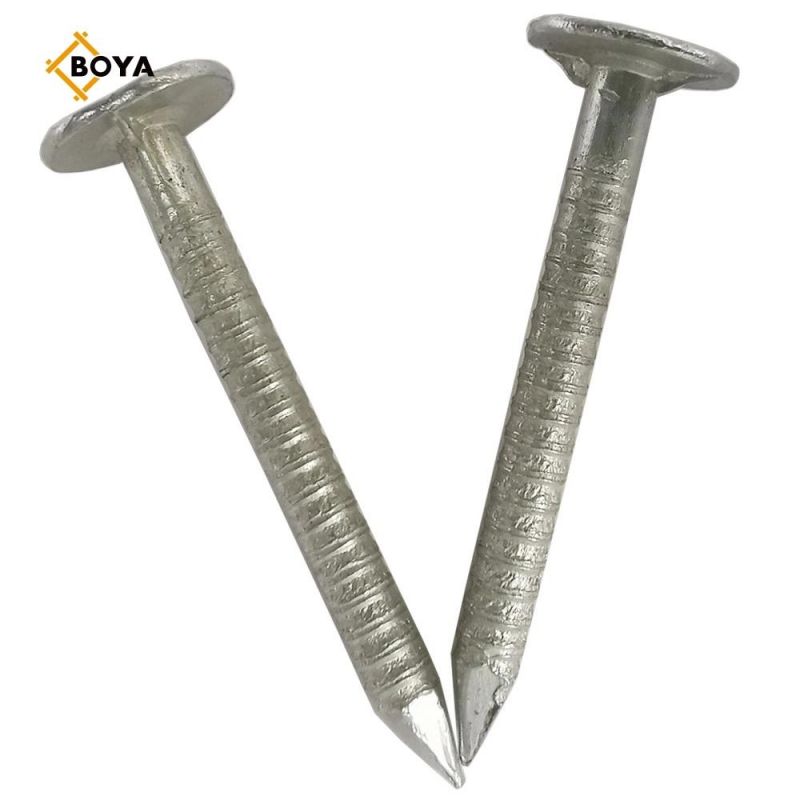 Best Selling Hot Dipped Galvanized Ring Nail with Different Size