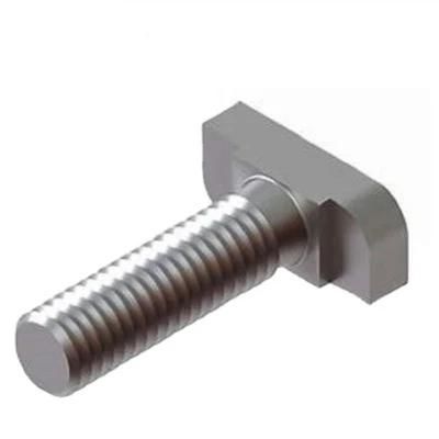 M6 M8 304 Stainless Steel DIN 261 Zinc CNC T Bolt