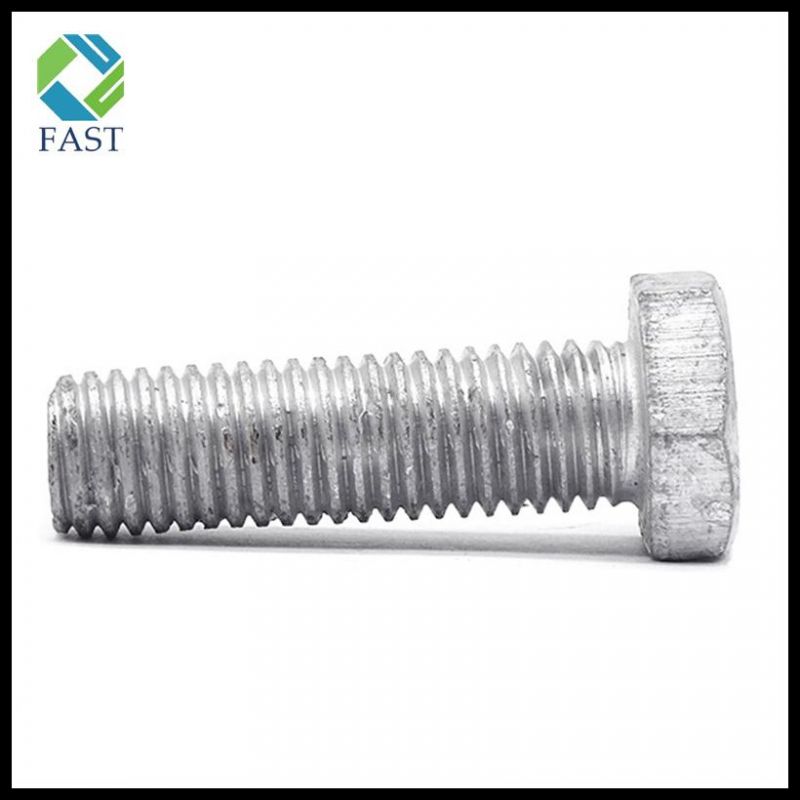 Made in China Gr 8.8 Hot DIP Galvanized Hex Bolt and Nut and Washer