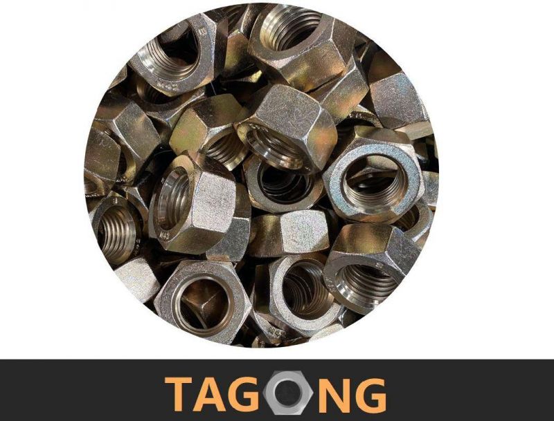 Cold-Forging Hex Nuts (DIN934, ISO4032, UNI5588, DIN555)