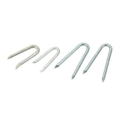 Factory Supply Electro Galvanized U Fence Staple