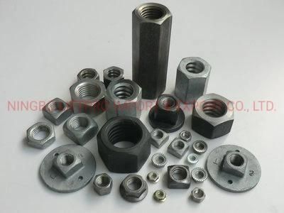 Ningbo Professional Factory Stainless Steel Zinc Alloy Hex Nut, Slotted Nut, Nylon Nut, Flange Nut