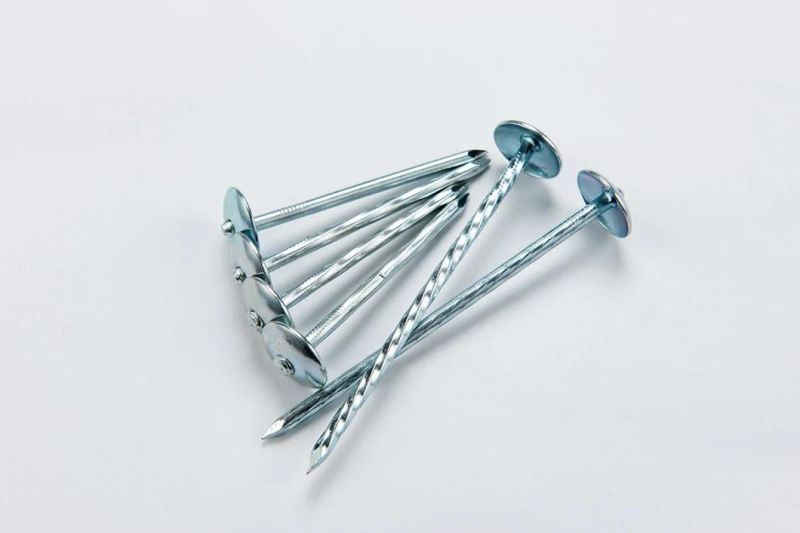 Smooth Shank Galvanized Umbrella Roofing Nail Be Used for Bicycle Parts, Wooden Furniture