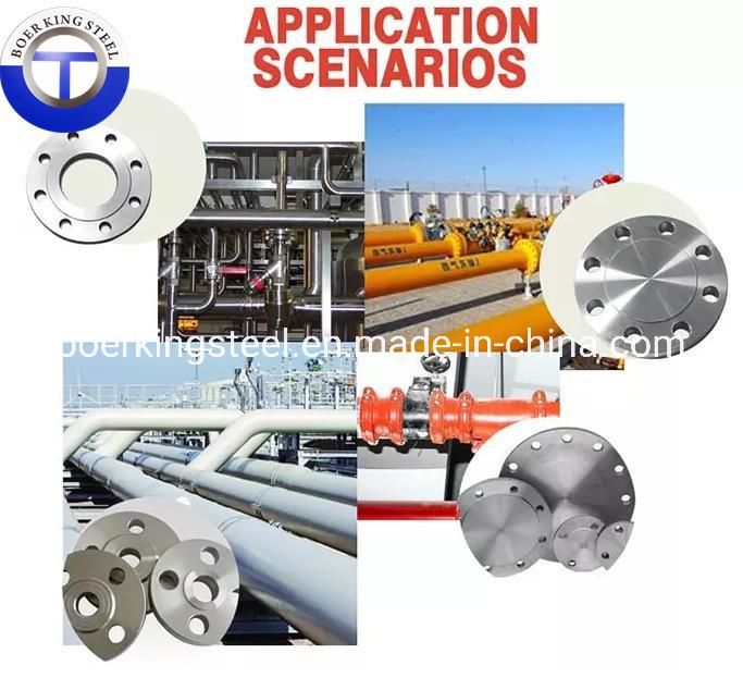 ANSI Class B16.5 F304 A304 316 316L 321 310S 430 Stainless Steel Pipe Forged Blind Flange