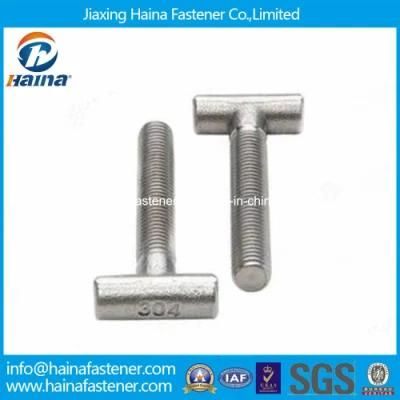 Stainless Steel 304 316 T Head Bolts