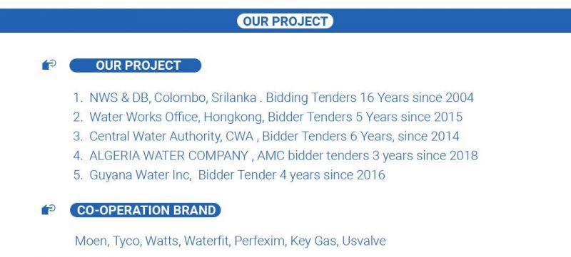 Lead Free Brass Water Meter Connector
