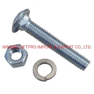 Hardened Steel Grade 8.8 10.9 Bolt DIN 603 607 605 ASME Bolt and Nut Square Neck Mushroom Round Head Carriage Bolts