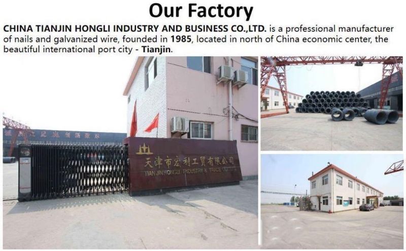 Hard Dovetail Screw /Self Tapping Screw/Drill Tapping Screw/Cross Head