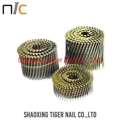 Coil Nail 2.3 (5.8)