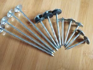 Galvanized Roofing Nails with Umbrella Head