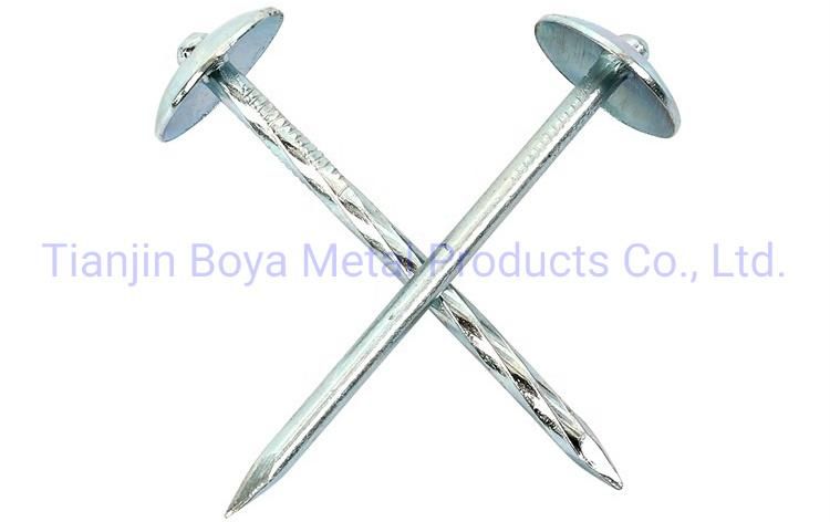 Good Quality Galvanized Umbrealla Head Roofing Nails Lowprice