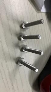 18-8 Stainless Steel Serrated-Flange Screw