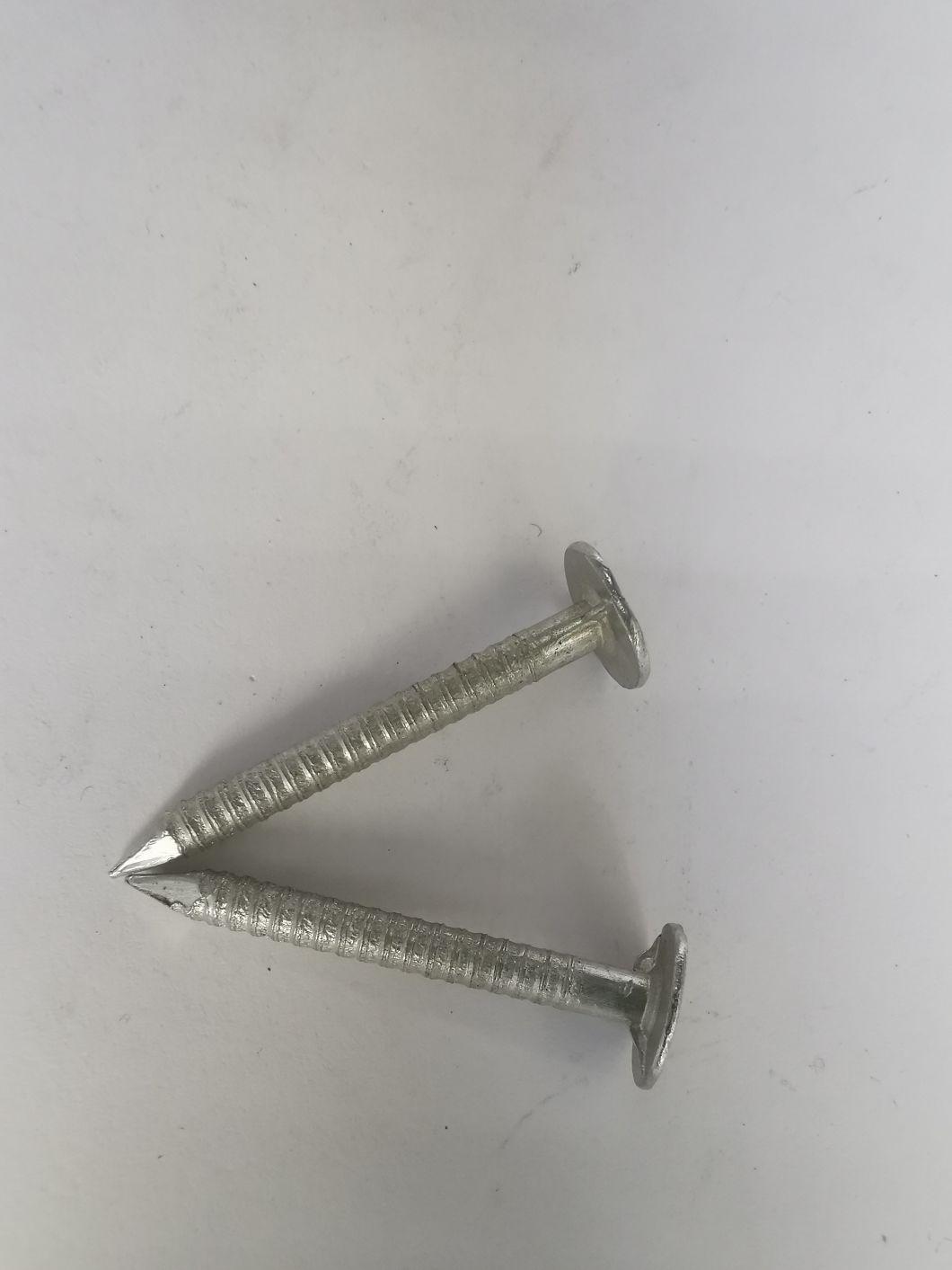 Boya Factory Price Ring Shank Roofing Nails