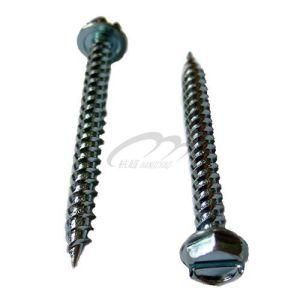 Hexagon Head Self Tapping Screw Din7976