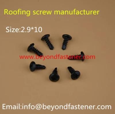 Screw/Drilling Screw /Black Bolts/Rupsert Screw/Sheet Metal Screw