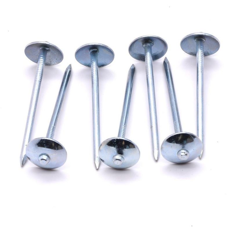 Galvanized Umbrella Head Roof Nails Umbrella Head with Roofing Nails for Africa