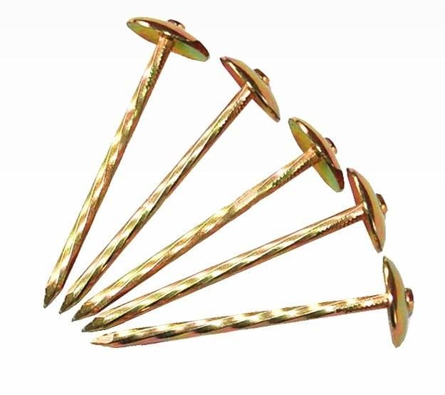 Umbrella Head Roofing Nail/Blue and White Zinc Plated/Color Zinc Corrugated Nails