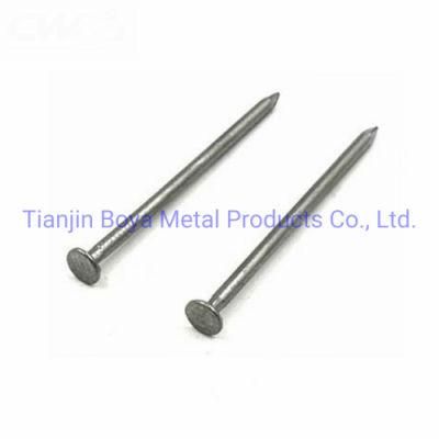 Galvanized Common Iron Nail for Construction