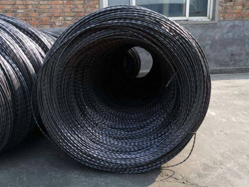 Tianjin Factory Free Sample Black Phosphated Phillips Bugle Head Drywall Screw