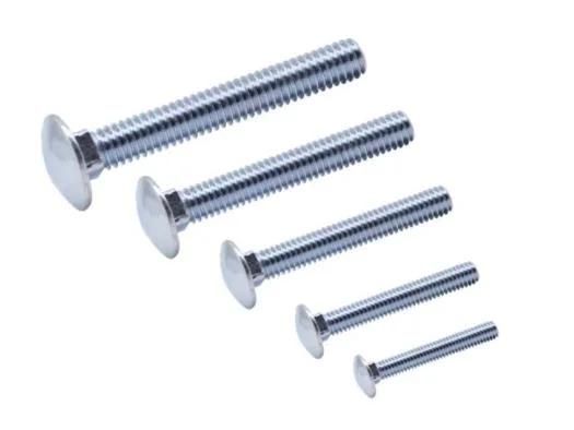 Made in China Bulk Packing with Mushroom Head and Square Neck Carriage Bolt