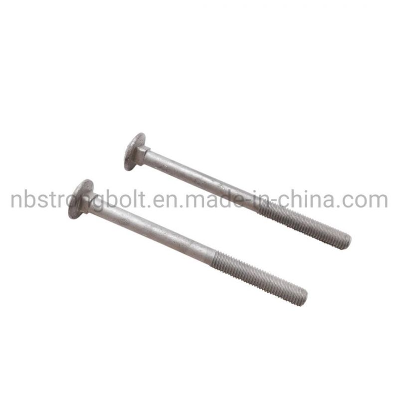 DIN603 Carriage Bolt with HDG