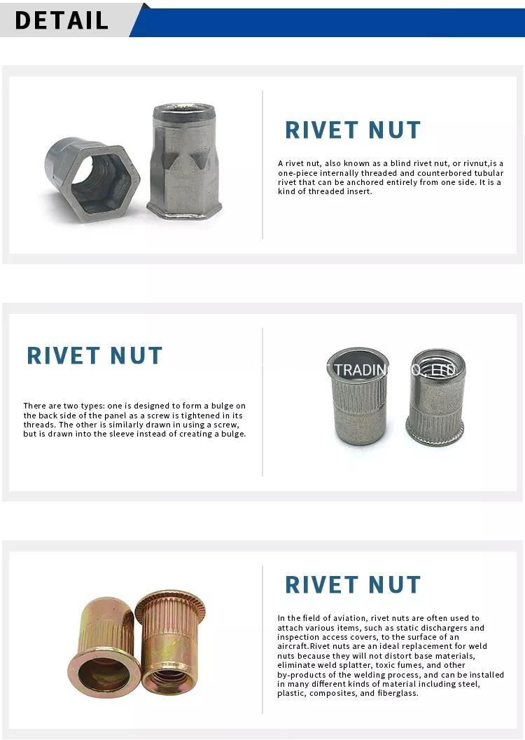 M8 Steel Flat Head Round Body Through Hole Rivet Nut with Knurling
