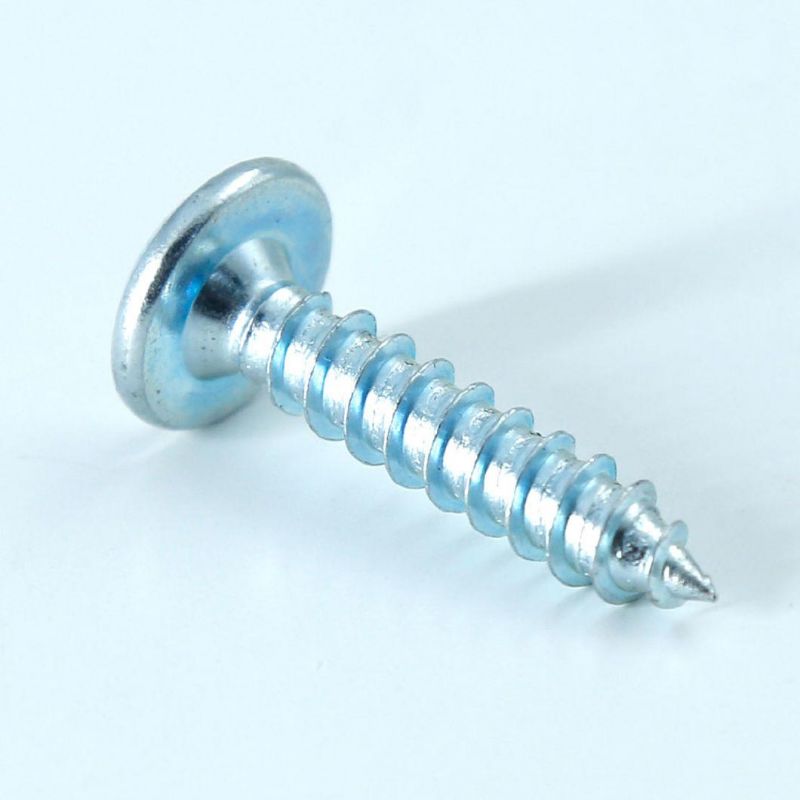 China Factory Stainless Steel Flat Head Hex Socket Self Tapping Screws