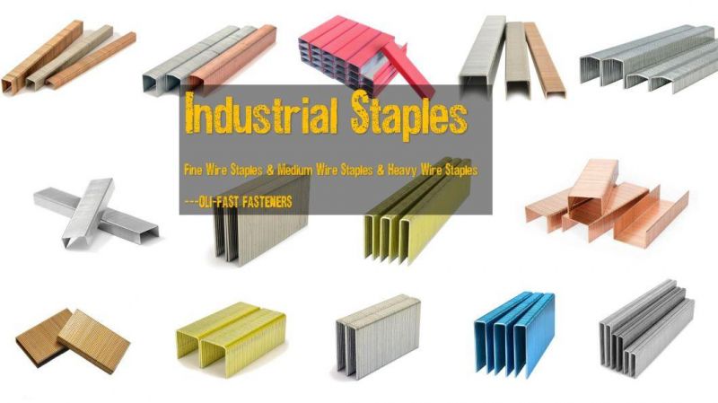 A34 3/4-Inch Carton Staples, 35 Series Carton Staples, Galvanized Staples