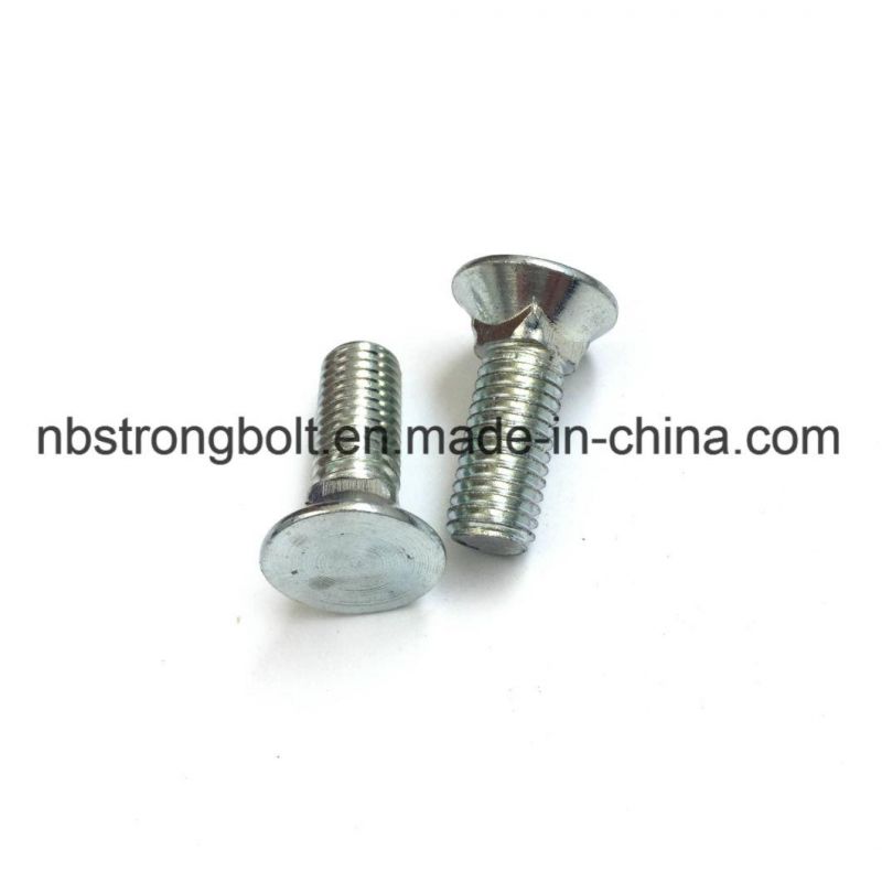 Flat Head Square Neck Screw with White Zinc Plated/Customized Flat Head Screw