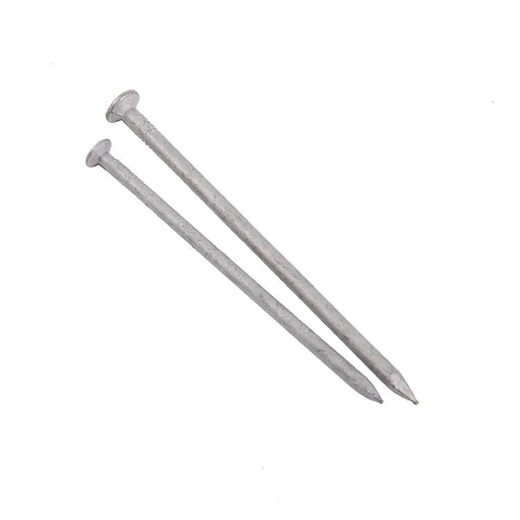 Chinese Factory Supply Common Pure Iron Nail Round Common Nails