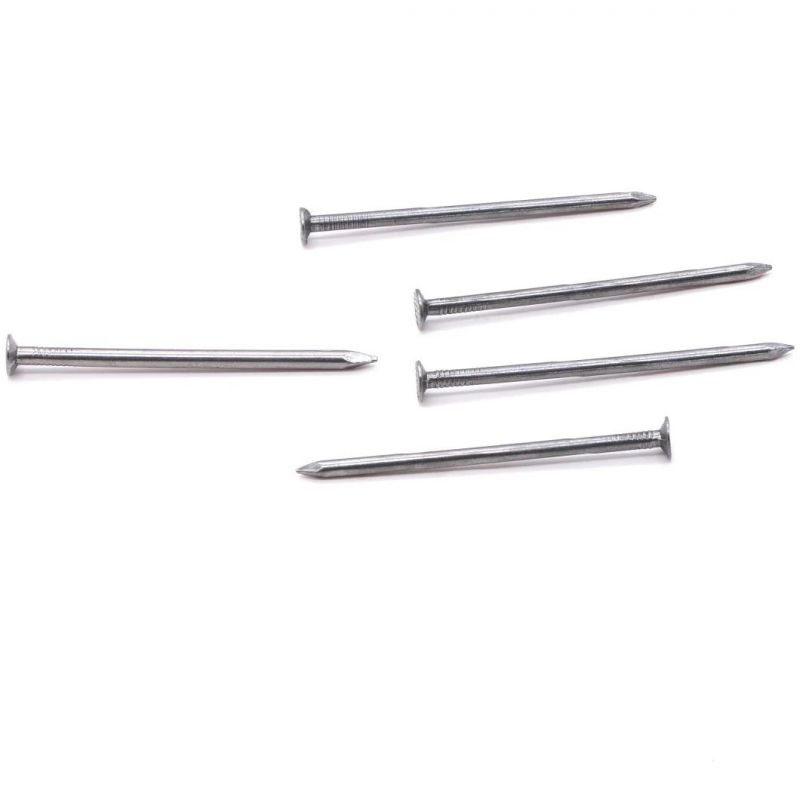 Kenya Angola Ethiopia Market/China Manufacture Polished Common Nails for Building