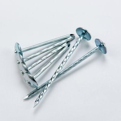 Galvanized Smooth/Twisted Shank 2.5&quot;*Bwg9 Umbrella Head Roofing Nails for Africa Market